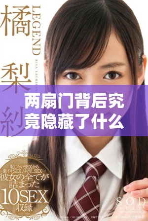 两扇门背后究竟隐藏了什么 看提枪直入视频揭开真相
