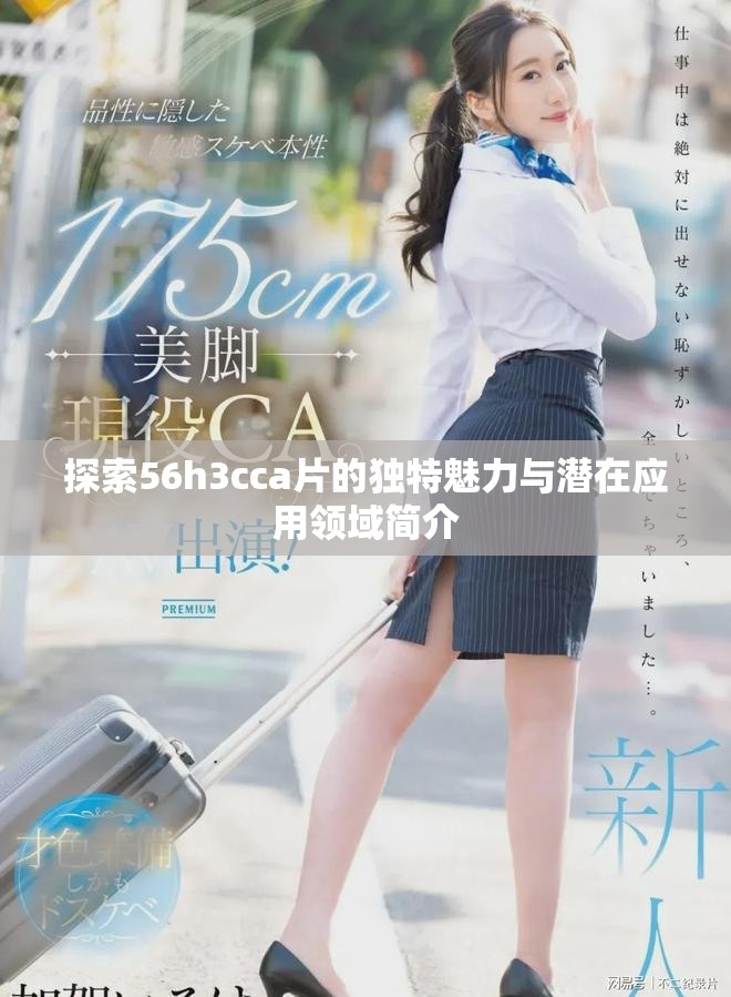 探索56h3cca片的独特魅力与潜在应用领域简介