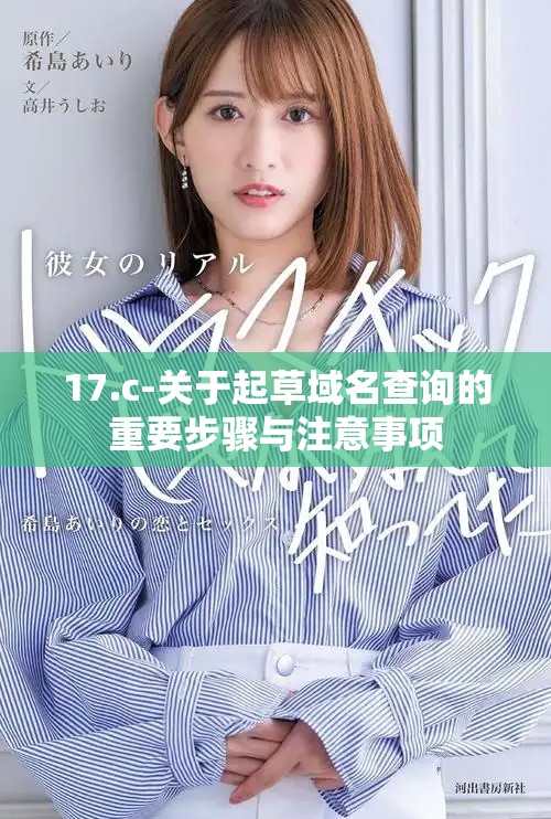 17.c-关于起草域名查询的重要步骤与注意事项