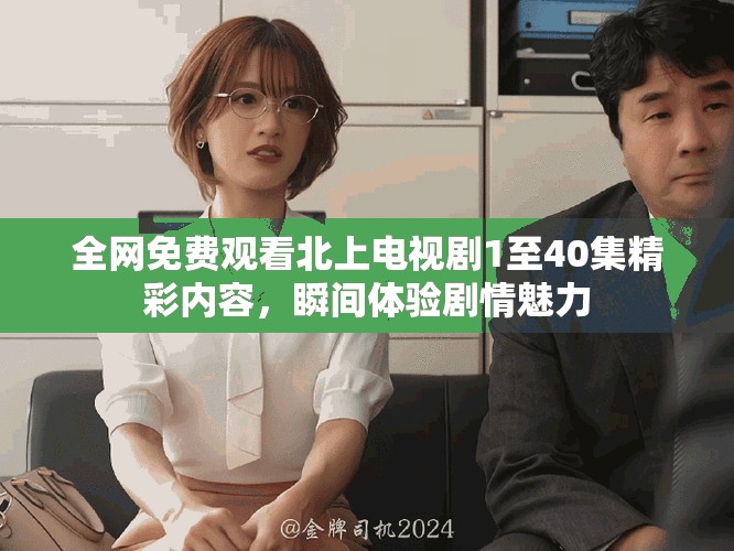 全网免费观看北上电视剧1至40集精彩内容，瞬间体验剧情魅力