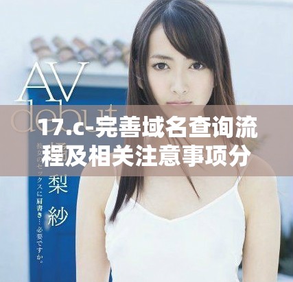 17.c-完善域名查询流程及相关注意事项分析