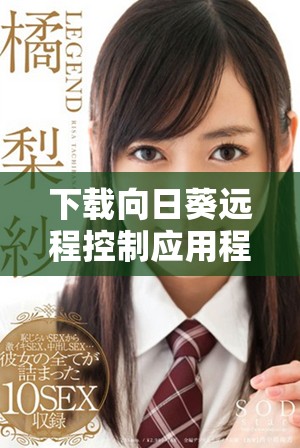 下载向日葵远程控制应用程序的官方渠道与安装指南