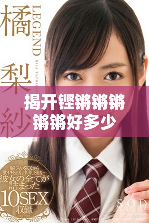 揭开铿锵锵锵锵锵好多少之谜的真相与解析