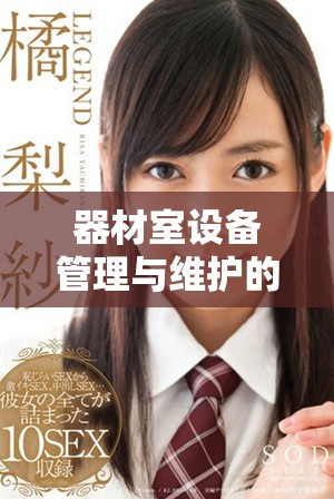 器材室设备管理与维护的四个关键要素解析与应用指南