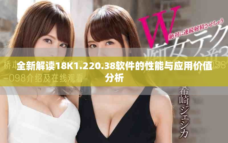 全新解读18K1.220.38软件的性能与应用价值分析