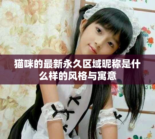 猫咪的最新永久区域昵称是什么样的风格与寓意