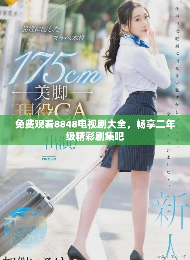 免费观看8848电视剧大全，畅享二年级精彩剧集吧