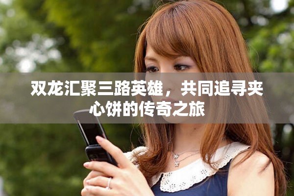 双龙汇聚三路英雄，共同追寻夹心饼的传奇之旅