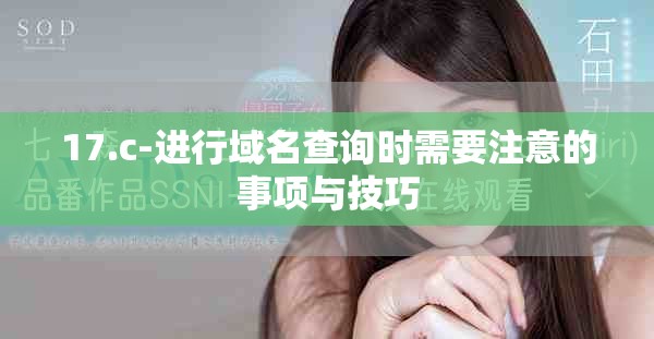 17.c-进行域名查询时需要注意的事项与技巧