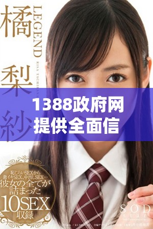 1388政府网提供全面信息服务与在线办理功能