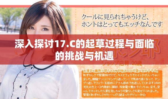 深入探讨17.C的起草过程与面临的挑战与机遇