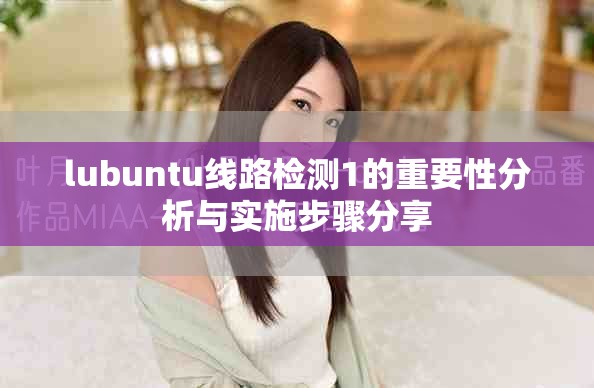 lubuntu线路检测1的重要性分析与实施步骤分享