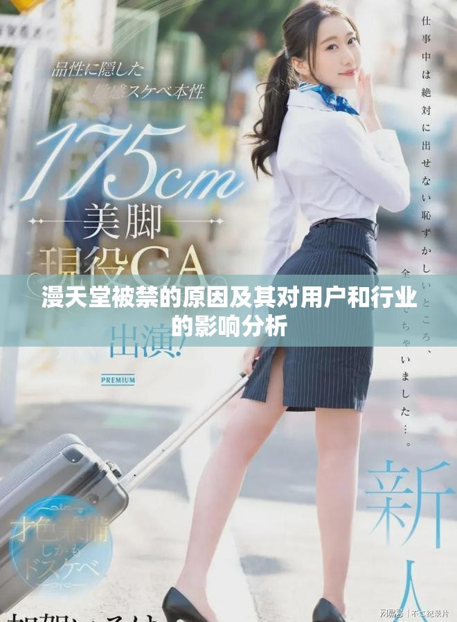 漫天堂被禁的原因及其对用户和行业的影响分析