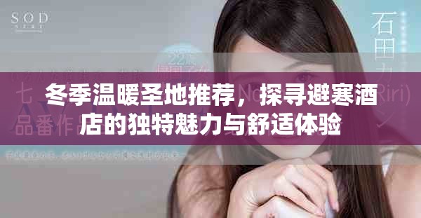 冬季温暖圣地推荐，探寻避寒酒店的独特魅力与舒适体验