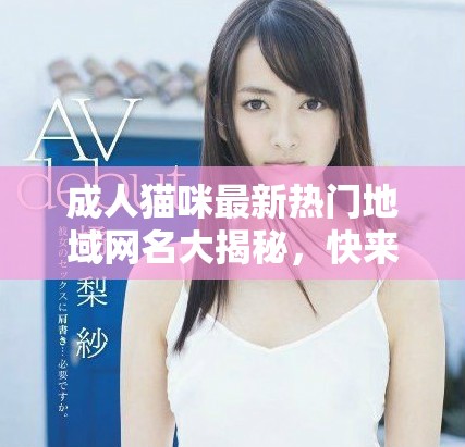 成人猫咪最新热门地域网名大揭秘，快来看看吧