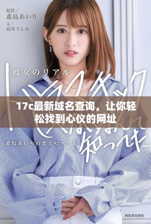 17c最新域名查询，让你轻松找到心仪的网址