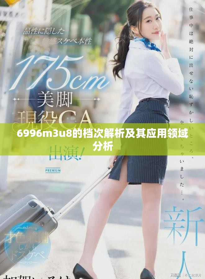6996m3u8的档次解析及其应用领域分析