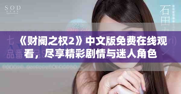 《财阀之权2》中文版免费在线观看，尽享精彩剧情与迷人角色