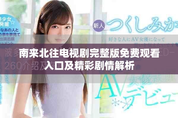 南来北往电视剧完整版免费观看入口及精彩剧情解析