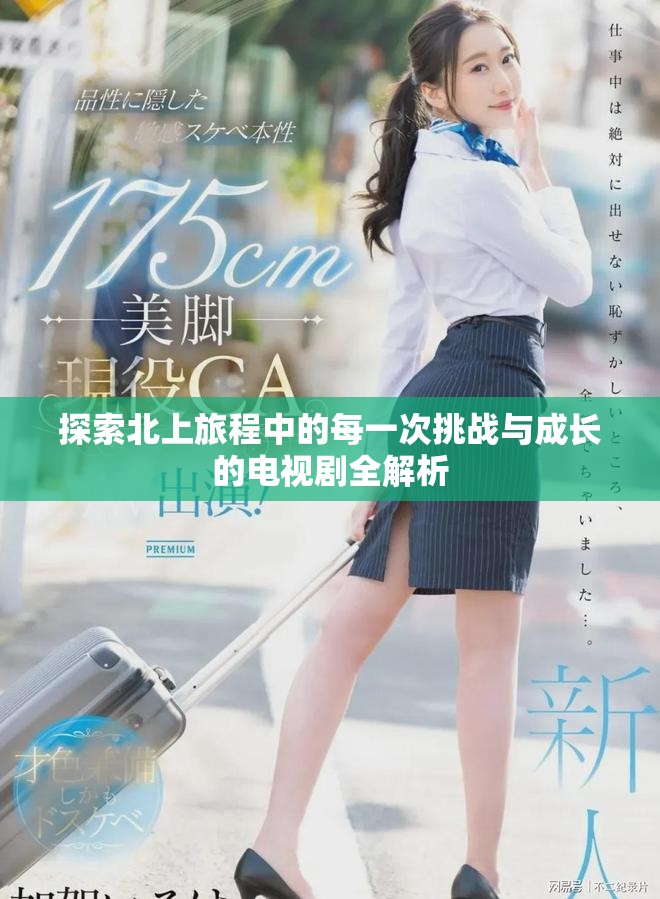 探索北上旅程中的每一次挑战与成长的电视剧全解析