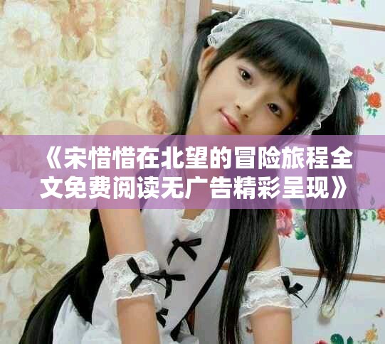 《宋惜惜在北望的冒险旅程全文免费阅读无广告精彩呈现》