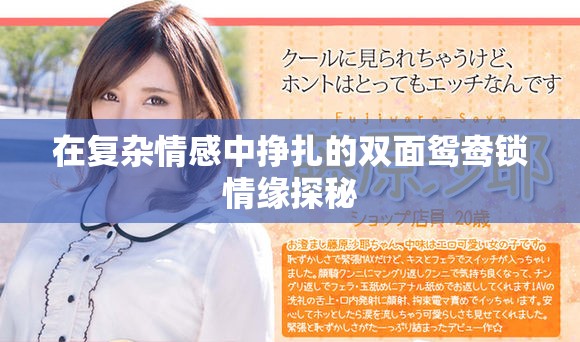 在复杂情感中挣扎的双面鸳鸯锁情缘探秘