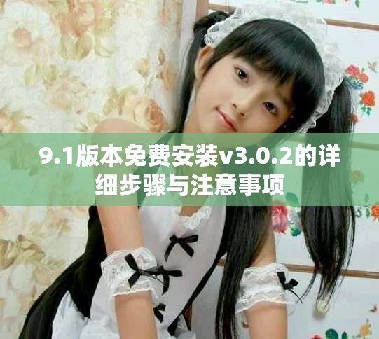 9.1版本免费安装v3.0.2的详细步骤与注意事项