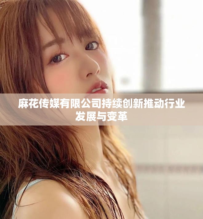 麻花传媒有限公司持续创新推动行业发展与变革