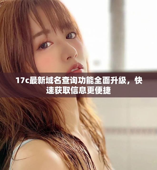 17c最新域名查询功能全面升级，快速获取信息更便捷