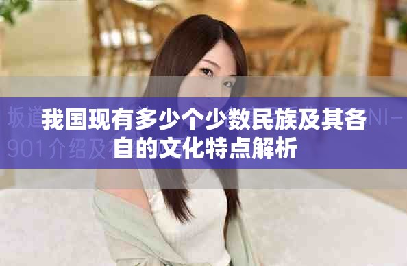我国现有多少个少数民族及其各自的文化特点解析