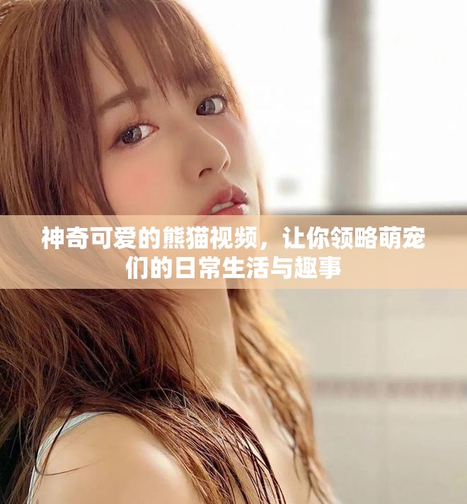 神奇可爱的熊猫视频，让你领略萌宠们的日常生活与趣事