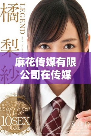 麻花传媒有限公司在传媒行业中的创新与发展探索