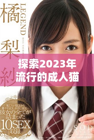 探索2023年流行的成人猫咪地域网名有哪些新趋势