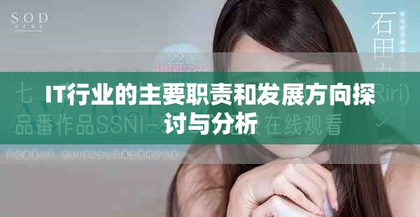 IT行业的主要职责和发展方向探讨与分析