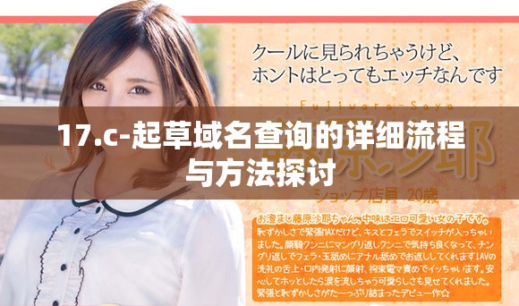 17.c-起草域名查询的详细流程与方法探讨