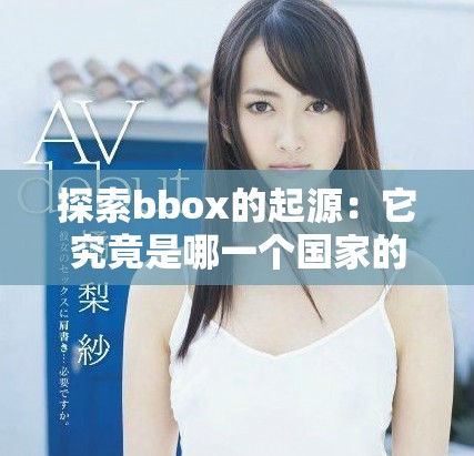 探索bbox的起源：它究竟是哪一个国家的创新产物