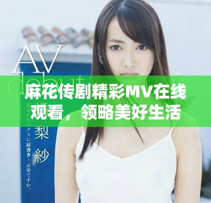 麻花传剧精彩MV在线观看，领略美好生活的无限魅力