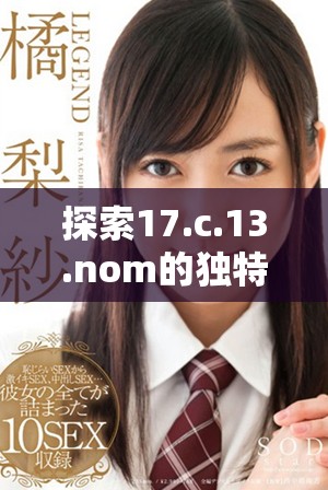 探索17.c.13.nom的独特应用与影响力分析