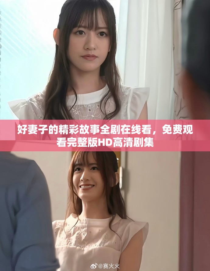 好妻子的精彩故事全剧在线看，免费观看完整版HD高清剧集
