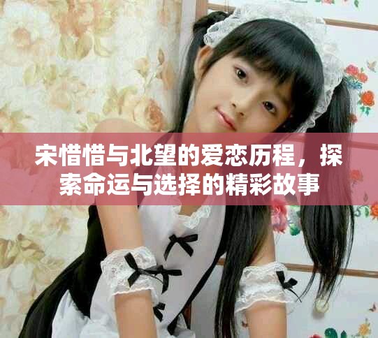 宋惜惜与北望的爱恋历程，探索命运与选择的精彩故事