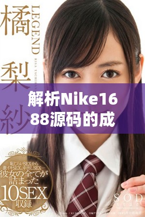 解析Nike1688源码的成品视频分享与使用技巧