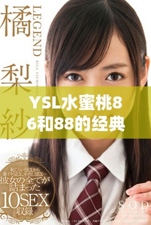 YSL水蜜桃86和88的经典款式区别全解析与使用体验对比