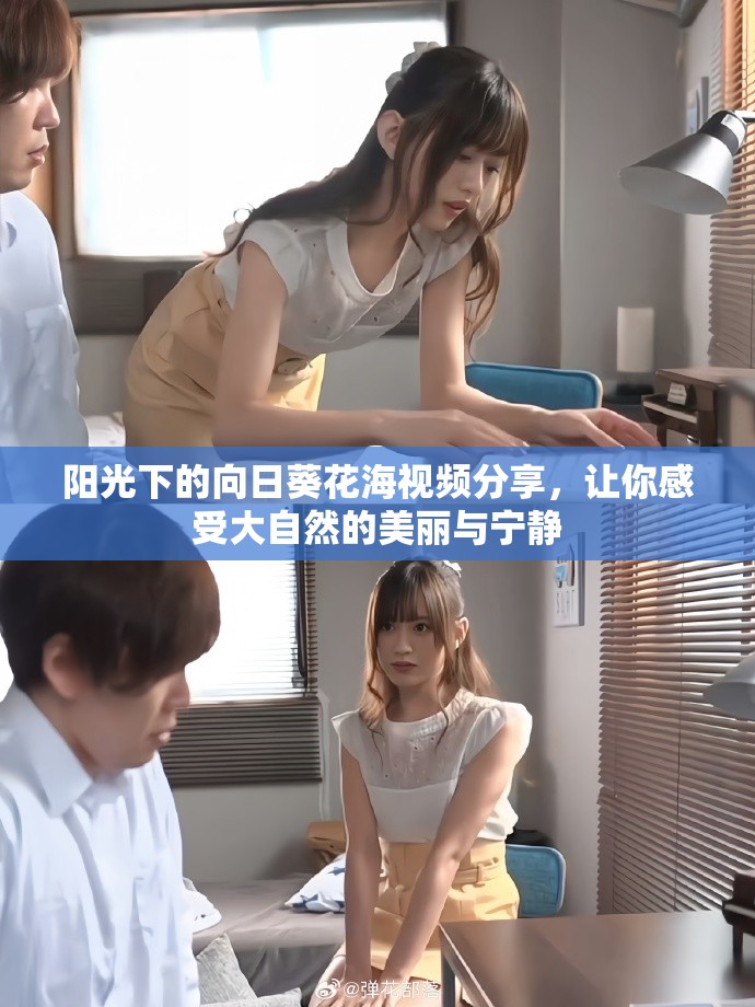阳光下的向日葵花海视频分享，让你感受大自然的美丽与宁静