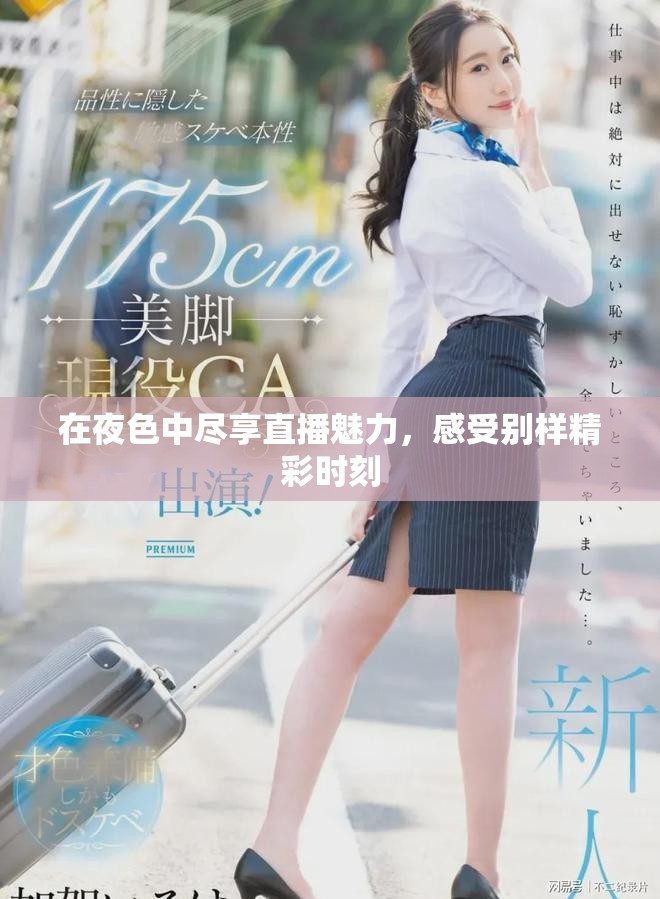 在夜色中尽享直播魅力，感受别样精彩时刻