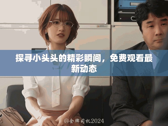 探寻小头头的精彩瞬间，免费观看最新动态