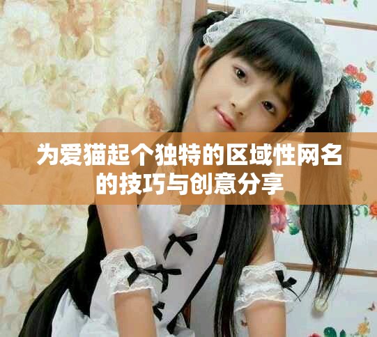 为爱猫起个独特的区域性网名的技巧与创意分享
