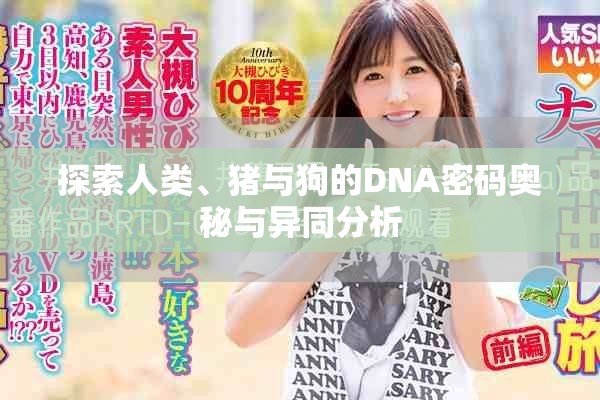 探索人类、猪与狗的DNA密码奥秘与异同分析