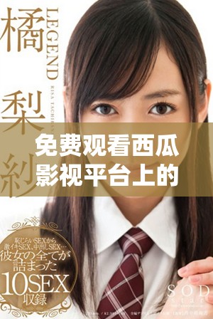免费观看西瓜影视平台上的最新热门电视剧合集分享