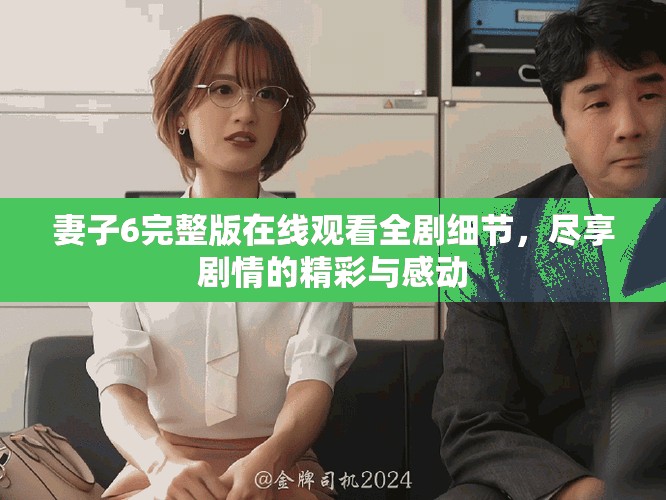 妻子6完整版在线观看全剧细节，尽享剧情的精彩与感动
