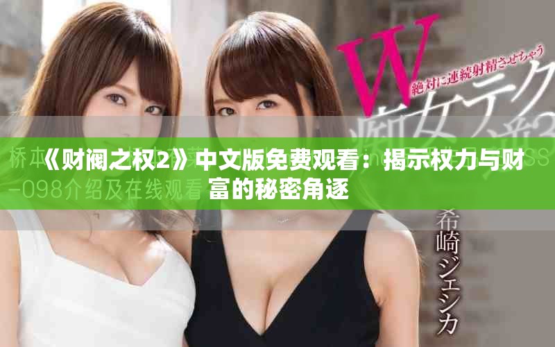 《财阀之权2》中文版免费观看：揭示权力与财富的秘密角逐